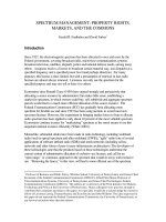 SPECTRUM MANAGEMENT: PROPERTY RIGHTS, MARKETS, AND THE COMMONS ppt