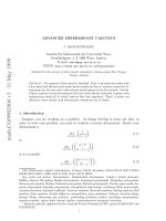 mathematics - advanced determinant calculus