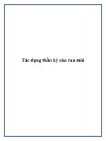 Tác dụng thần kỳ của rau mùi ppt