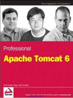 Professional Apache Tomcat 6 docx