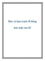 Bảo vệ bạn trước lỗ hổng bảo mật của IE pdf
