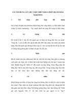 CÁC NỘI DUNG CẦN CHÚ Ý KHI TRIỂN KHAI CHIẾN DỊCH EMAIL MAKETING doc