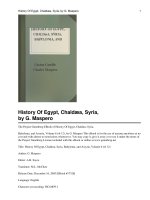 History Of Egypt, Chaldæa, Syria, Babylonia, and Assyria, Volume 6 (of 12) pot