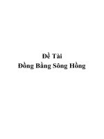 Đề Tài Đồng Bằng Sông Hồng docx