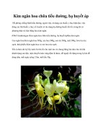 Kim ngân hoa chữa tiểu đường, hạ huyết áp pdf