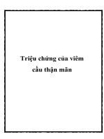 Triệu chứng của viêm cầu thận mãn pdf