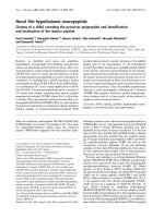 Báo cáo Y học: Novel ﬁsh hypothalamic neuropeptide Cloning of a cDNA encoding the precursor polypeptide and identiﬁcation and localization of the mature peptide pptx