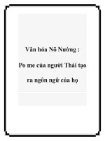 Văn hóa Nõ Nường : Po me của người Thái tạo ra ngôn ngữ của họ potx