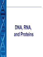 DNA, RNA and proteins