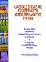 NANOSCALE SCIENCE AND ENGINEERING FOR AGRICULTURE AND FOOD SYSTEMS docx