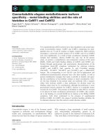 Báo cáo khoa học: Caenorhabditis elegans metallothionein isoform speciﬁcity – metal binding abilities and the role of histidine in CeMT1 and CeMT2 potx