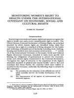 MONITORING WOMEN''''S RIGHT TO HEALTH UNDER THE INTERNATIONAL COVENANT ON ECONOMIC, SOCIAL AND CULTURAL RIGHTS potx
