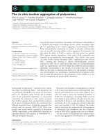 Báo cáo khoa học: The in vitro nuclear aggregates of polyamines pot