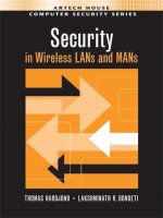security in wireless lans & mans