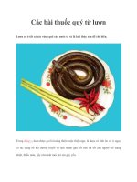 Các bài thuốc quý từ lươn pptx