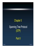 CNNA3-Chapter 5: Part II pdf