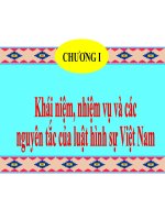 Khái niệm, nhiệm vụ và các nguyên tắc của luật hình sự Việt Nam potx