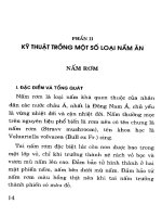 Kỹ thuật trồng một số loài nấm ăn potx