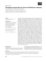 Báo cáo khoa học: Therapeutic approaches for prion and Alzheimer’s diseases pot