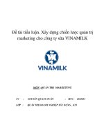 xây dựng chiến lược quản trị marketing cho công ty sữa vinamilk