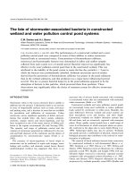 The fate of stormwater-associated bacteria in constructed wetland and water pollution control pond systems potx