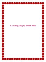 Lá xương sông trị ho tiêu đờm docx