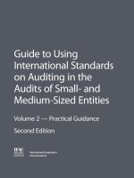Guide to Using International Standards on Auditing in the Audits of Small- and Medium-Sized Entities doc