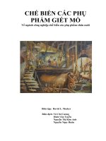 CHẾ BIẾN CÁC PHỤ PHẨM GIẾT MỔ Về ngành công nghiệp chế biến các phụ phẩm chăn nuôi pptx