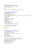 Install Oracle 11 on Linux docx