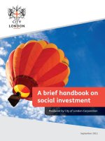 A brief handbook on social investment ppt