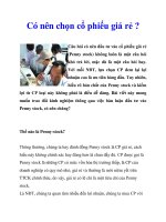 Có nên chọn cổ phiếu giá rẻ ? docx