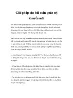 Giải pháp cho bài toán quản trị khuyến mãi potx