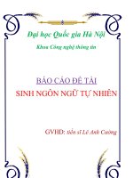 báo cáo đề tài sinh ngôn ngữ tự nhiên