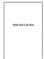 Sinh Sản Của Heo pdf