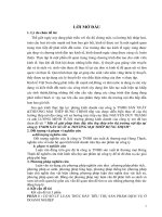 Đề tài: Một số giải pháp nhằm đẩy mạnh tiêu thụ thép tại công ty TNHH Hưng Thịnh potx