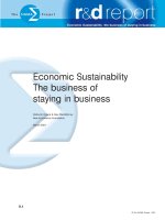 Economic Sustainability The business of staying in business pdf