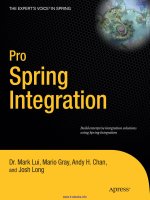 Pro Spring Integration doc