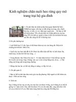 Kinh nghiệm chăn nuôi heo rừng quy mô trang trại hộ gia đình pot