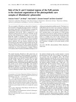Báo cáo khoa học: Role of the N- and C-terminal regions of the PufX protein in the structural organization of the photosynthetic core complex of Rhodobacter sphaeroides pptx
