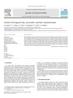 growth of tetragonal sno2 microcubes and their characterization