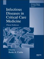 Infectious Diseases in Critical Care Medicine Third Edition pdf