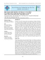 HIỆN TRẠNG MÔI TRƯỜNG - KỸ THUẬT VÀ TÀI CHÍNH CỦA NGHỀ NUÔI CÁ BÓP (RACHYCENTRON CANADUM) TRÊN LỒNG Ở ĐẢO PHÚ QUỐC, TỈNH KIÊN GIANG docx