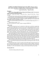 Nghiên cứu phương pháp bảo quản quả hồng (Diospyros kaki T.) bằng các hợp chất hữu cơ không độc và bằng bao gói túi HDPE doc