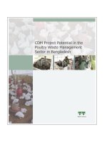 CDM Project Potential In the Poultry Waste Management Sector In Bangladesh ppt
