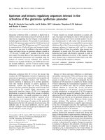 Báo cáo khoa học: Upstream and intronic regulatory sequences interact in the activation of the glutamine synthetase promoter pot