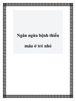 Ngăn ngừa bệnh thiếu máu ở trẻ nhỏ pptx