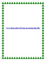 Cà ri thơm phức kết hợp gà nướng hấp dẫn pot