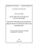 hoàn thiện quy trình công nghệ nhân giống cam valencia 2 (v2) và mở rộng sản xuất ở các vùng sinh thái khác nhau