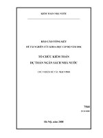 Tổ chức kiểm toán dự toán ngân sâch nhà nước