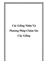 Các Giống Nhãn Và Phương Pháp Chăm Sóc Cây Giống potx